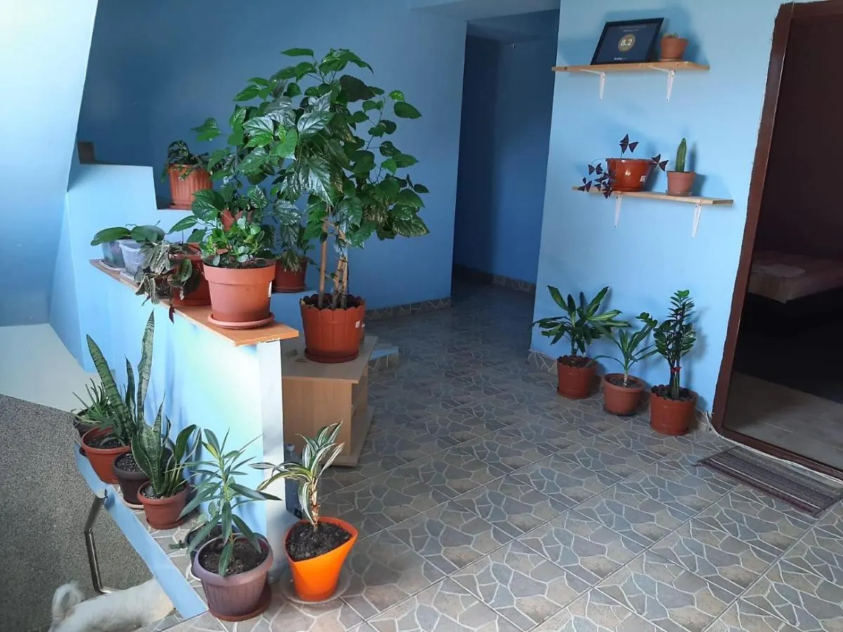 Guest house Casa Ana Hotel Bucharest